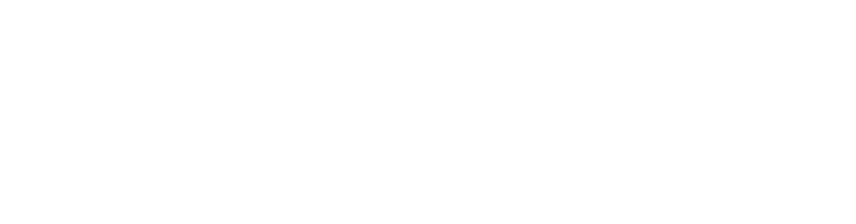 luxury hotels in istanbul white logo